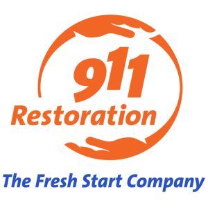 911 Restoration of Metro Detroit East photo